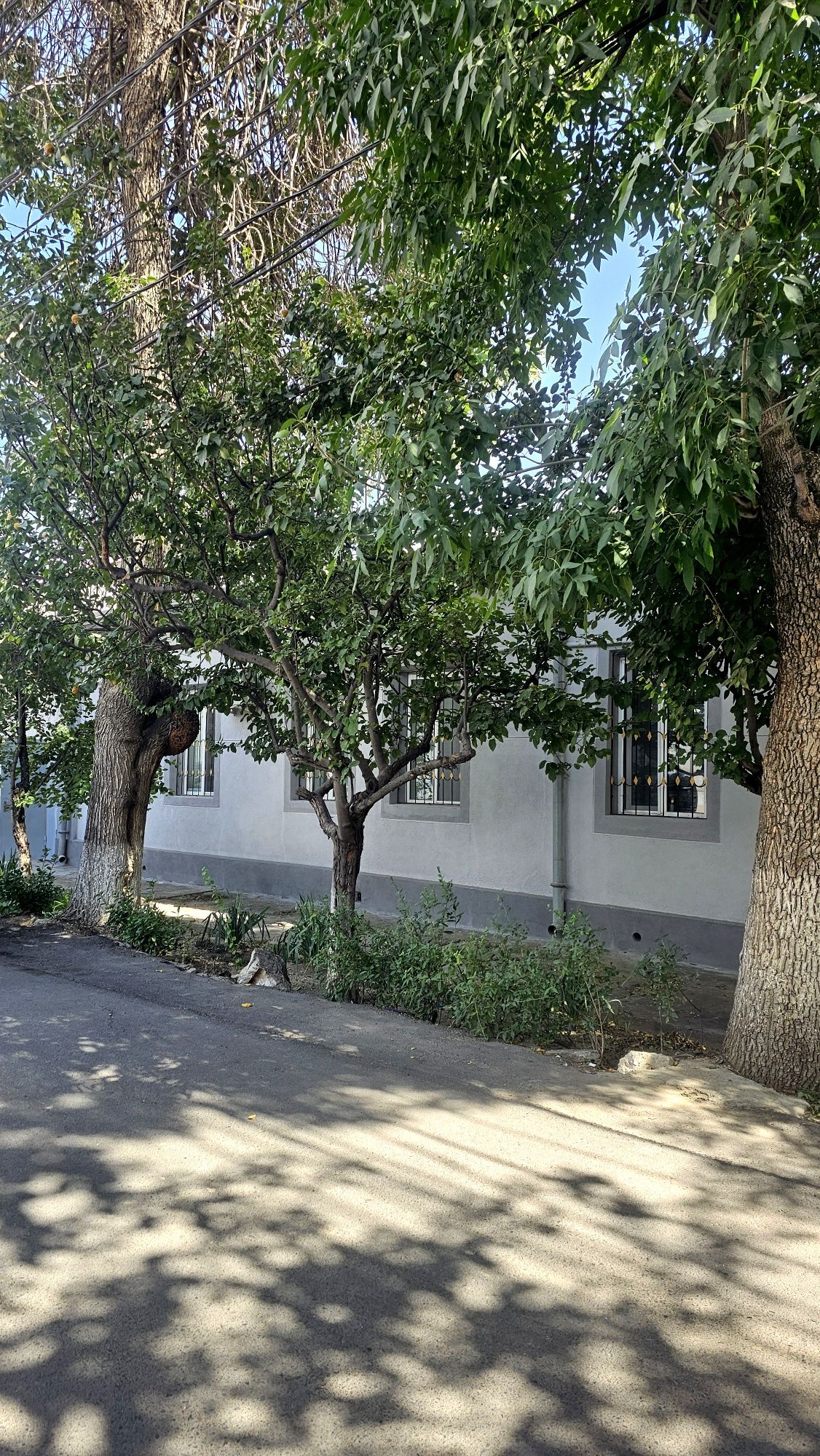 Продается дом по цене голой земли в центре. На Глинке