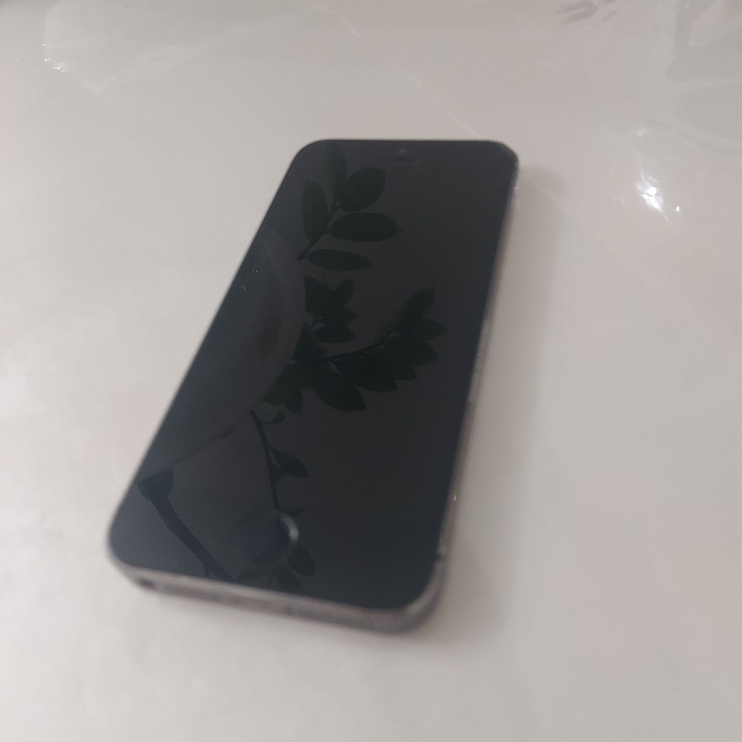 Iphonr 5s состояние хорошое