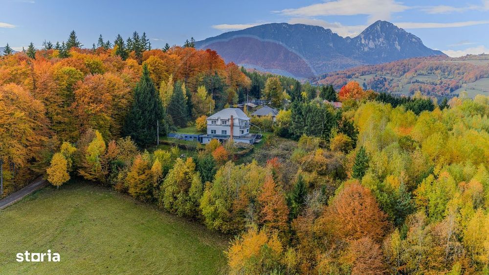 Oferta! Casă / Vilă cu 7 camere de vânzare/ Poiana Marului