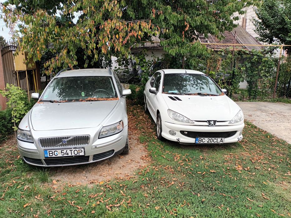 Volvo V50 + Peugeot 206