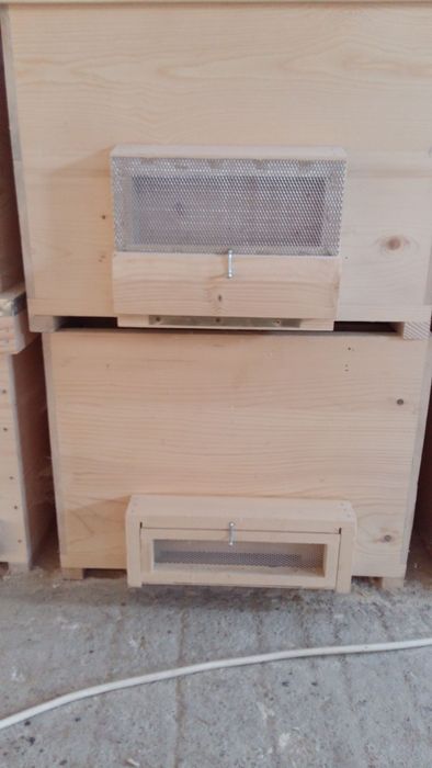 Stupi verticali,orizontali,roinite,nucleu de împerechere. alimentator.