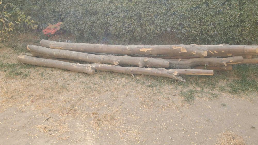 Продаются дрова звоните