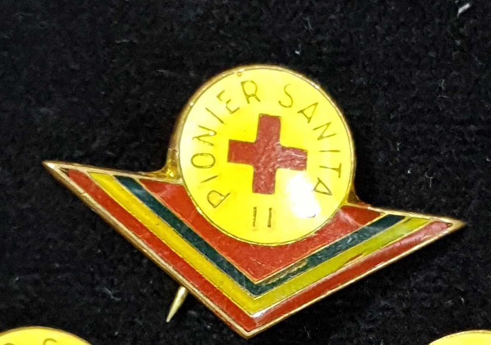 Lot insigne Pionieri - 1980-1987