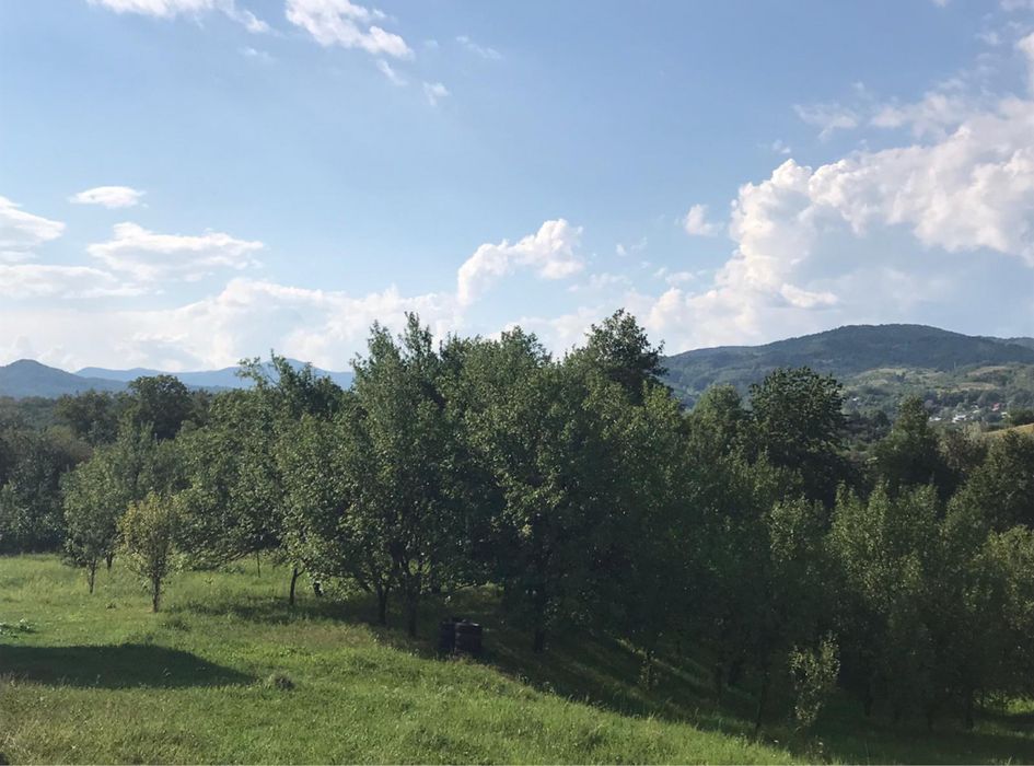 Teren intravilan, sat Catunu, comuna Drajna, Prahova