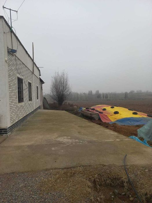 уй сотилади 20 сотих,  Халкабод бобур, ферма учун хам зор