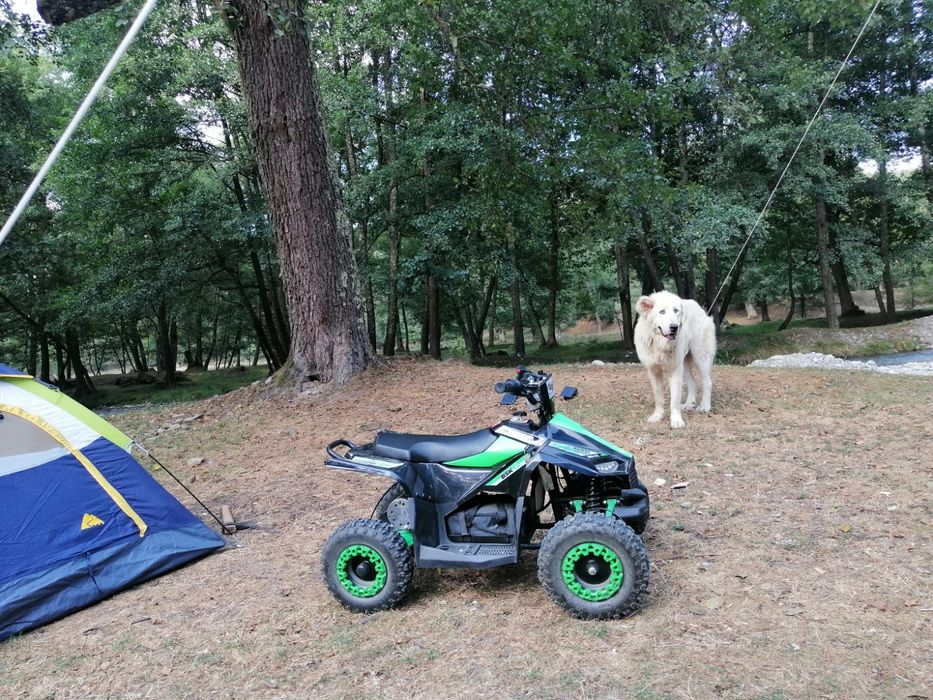 ATV electric copii