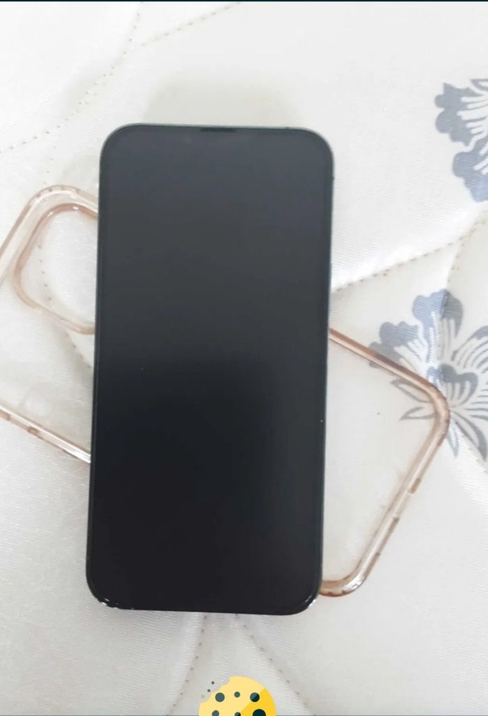 iPone 13 pro max
