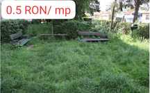 Tund iarba gazon