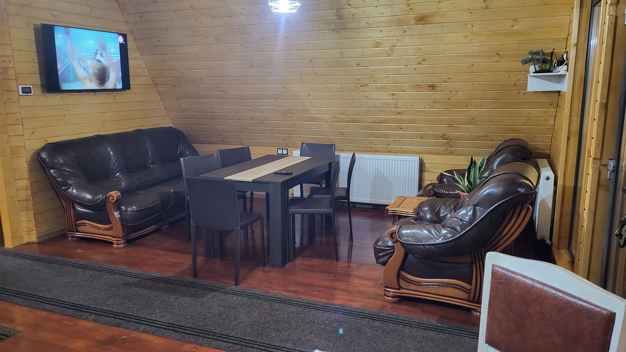Cabana, casa de vacanta