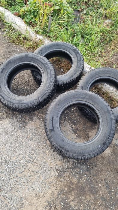 Зимняя шипованная резина Cordiant