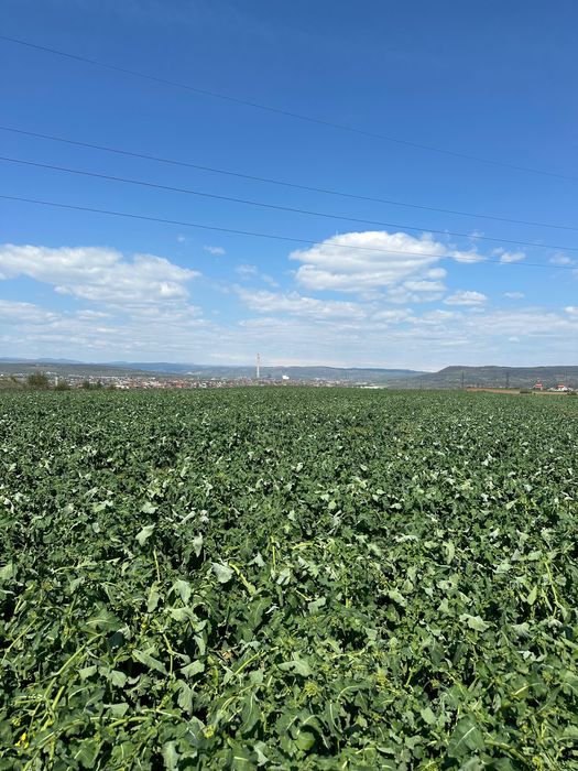 Vand teren extravilan