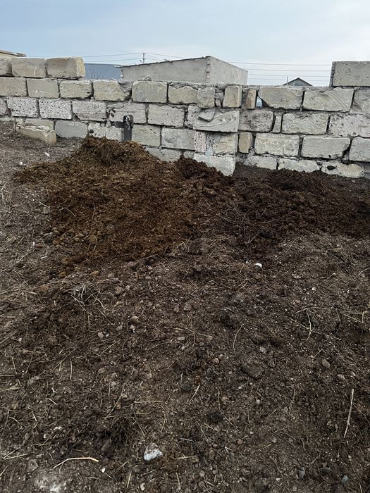 Конский новоз БЕСПЛАТНО