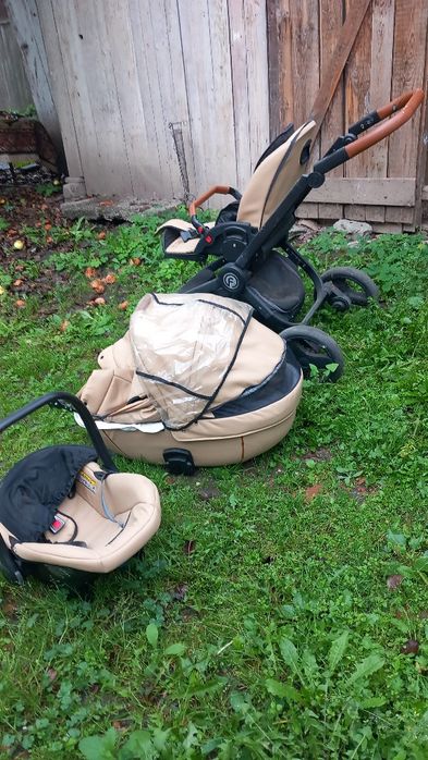 Carucior-Landou-Scoica Krausman