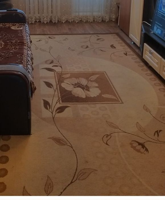 Продам палас в хорошем состоянии размер 3×5 , после химчистки