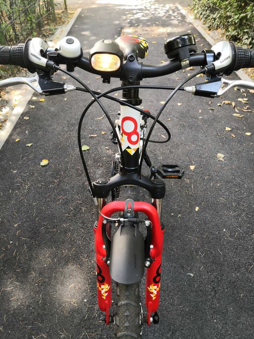 Bicicleta MTB Cygnus Dirt Rider suspensie aluminiu 24" 21 viteze