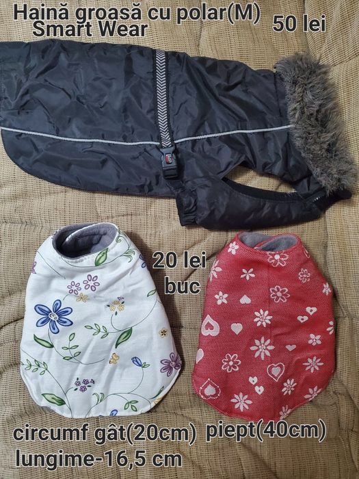 Haine,ham,lesă câini