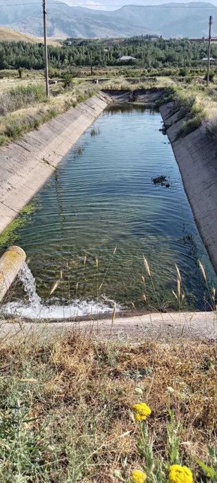 Хозяйство рыбное в Бахмальском районе Джиззакской области
