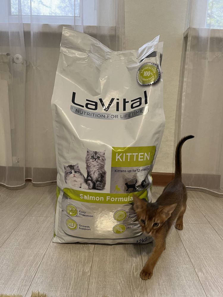 LaVital для котят 12 кг