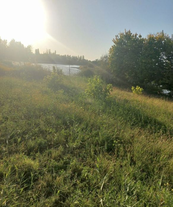 Срочна прадаёция янги базар 5 гектор ер ферма килса хам булади репром