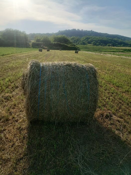 Baloti prima coasă 120/120