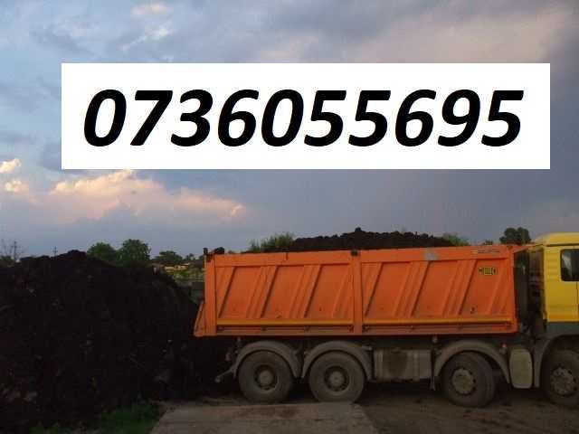 Calcar granit piatra decorativa chisai pamant vegetal compost moluz