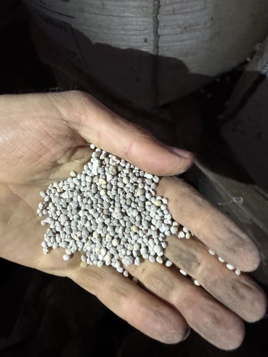 Vand ingrasaminte 0-46-0 TSP