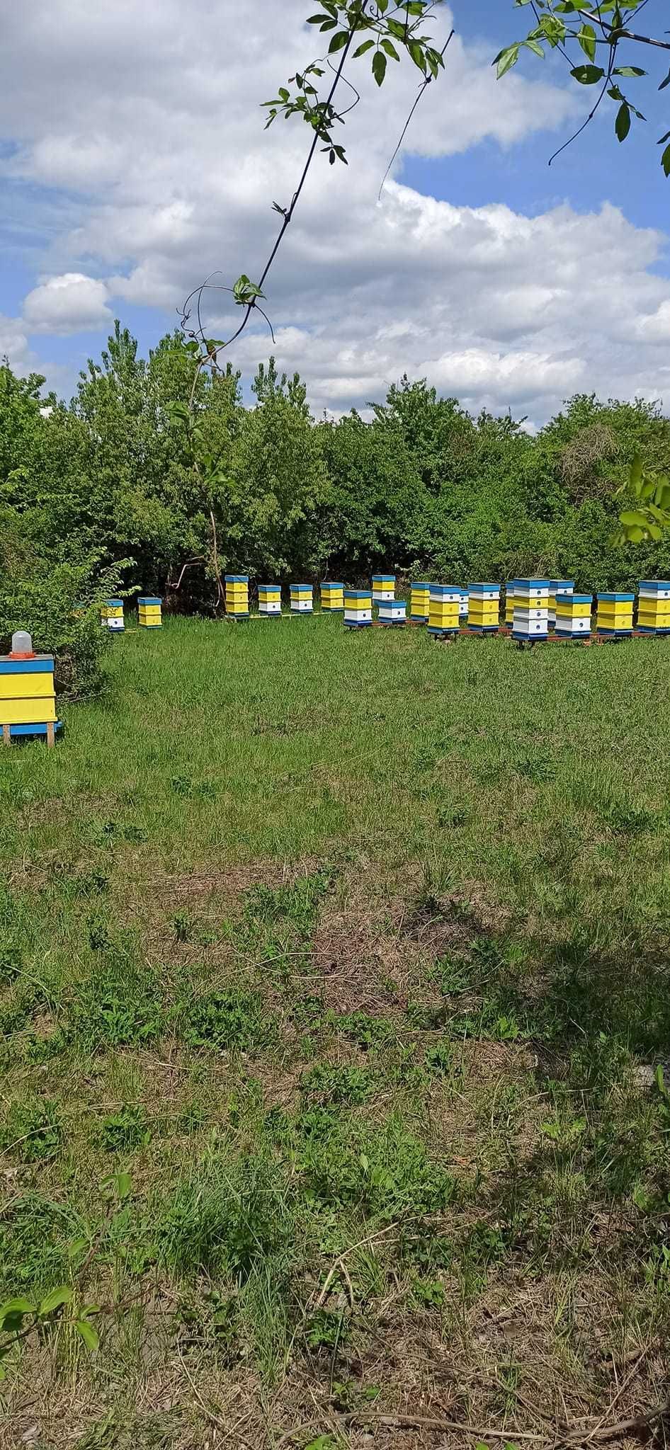 Продавам пчелен восък