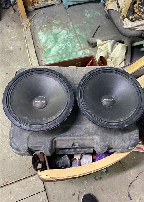 Эстрадные динамики Avatar MTU-81