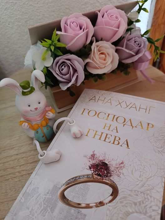 Господар на гнева