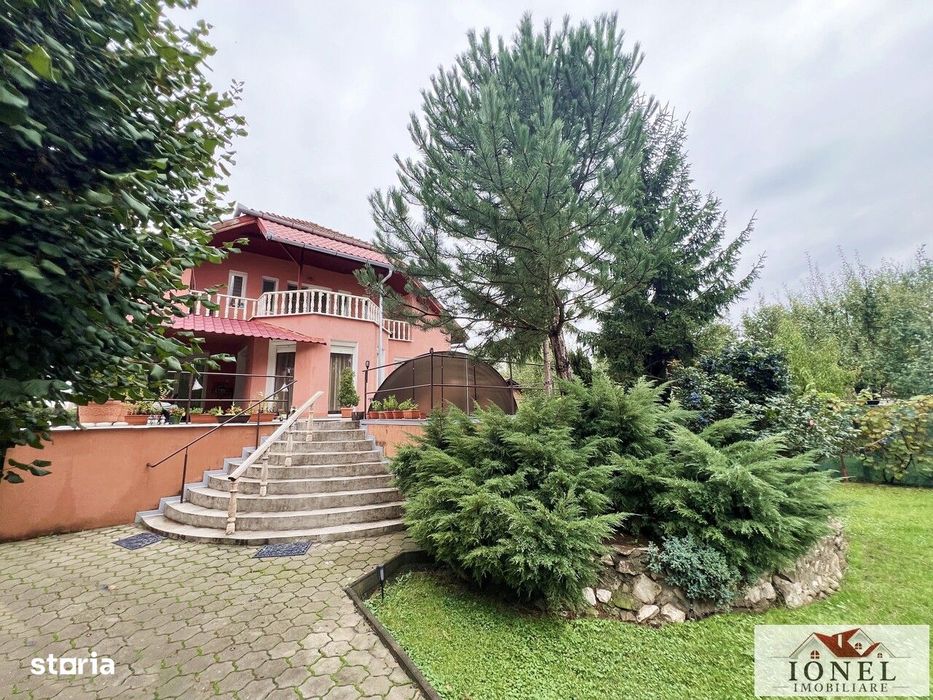 Vila Alba Iulia, Centru