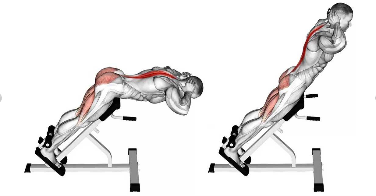 Тренажер Гиперэкстензия
