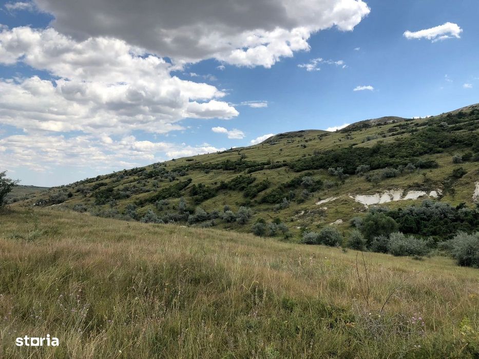 Vanzare 50 Ha pasune, judetul Prahova