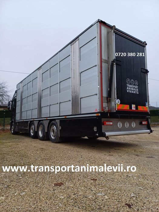 Transport animale vii autorizat orinde in Romania/ international