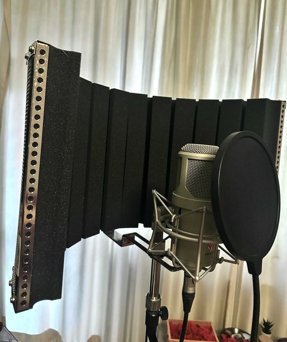 the t.bone Micscreen LE