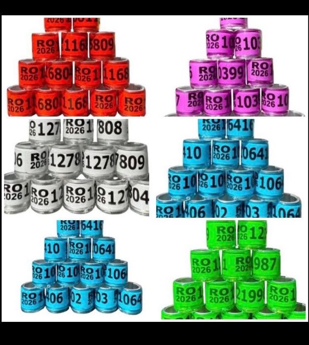 Inele 2026  1leu buc