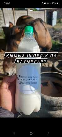 Қымыз таза өнім. Кумыс. Кымыз