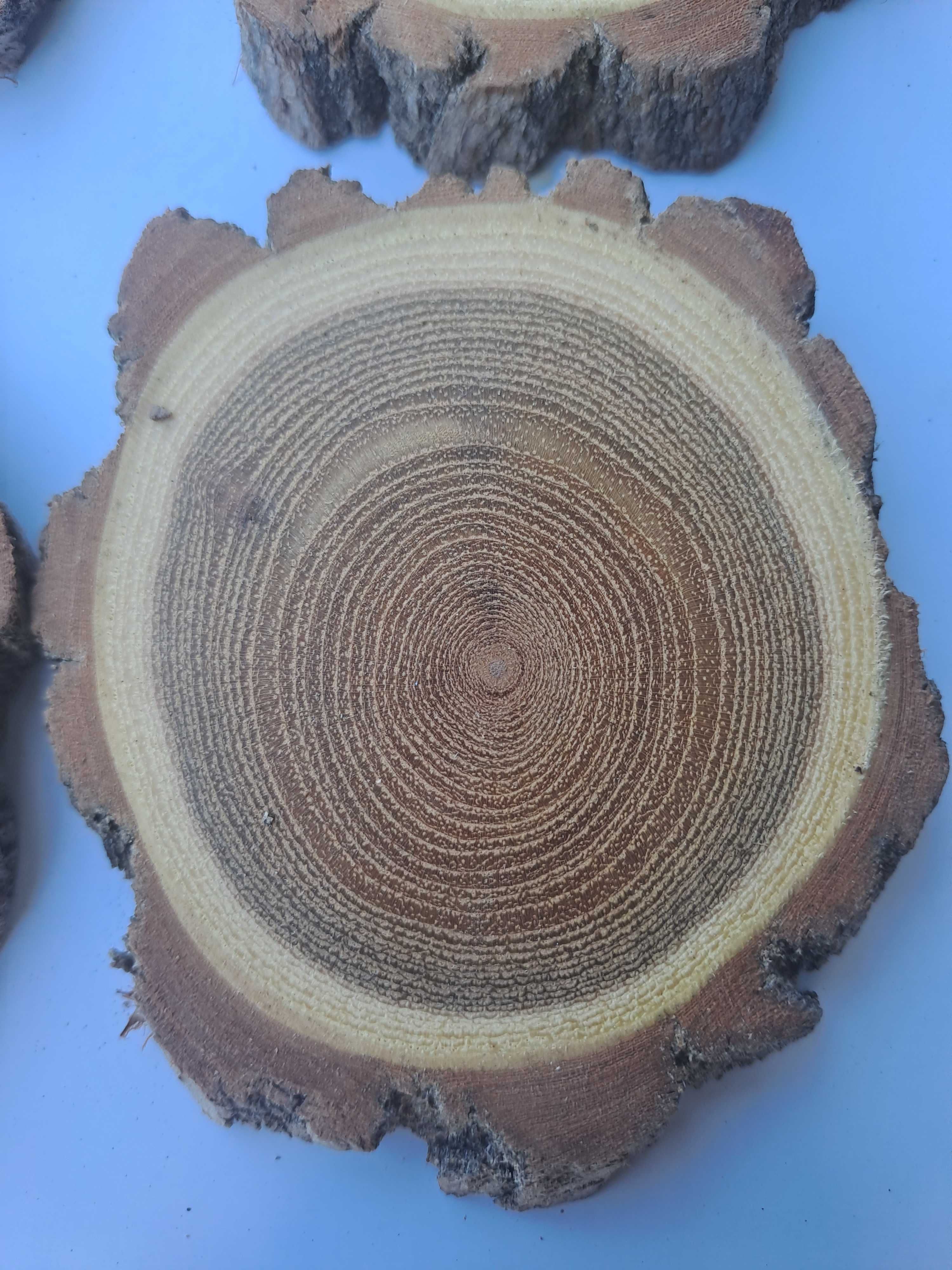 Дървени шайби кръгчета натурално дърво ЕКО БИО