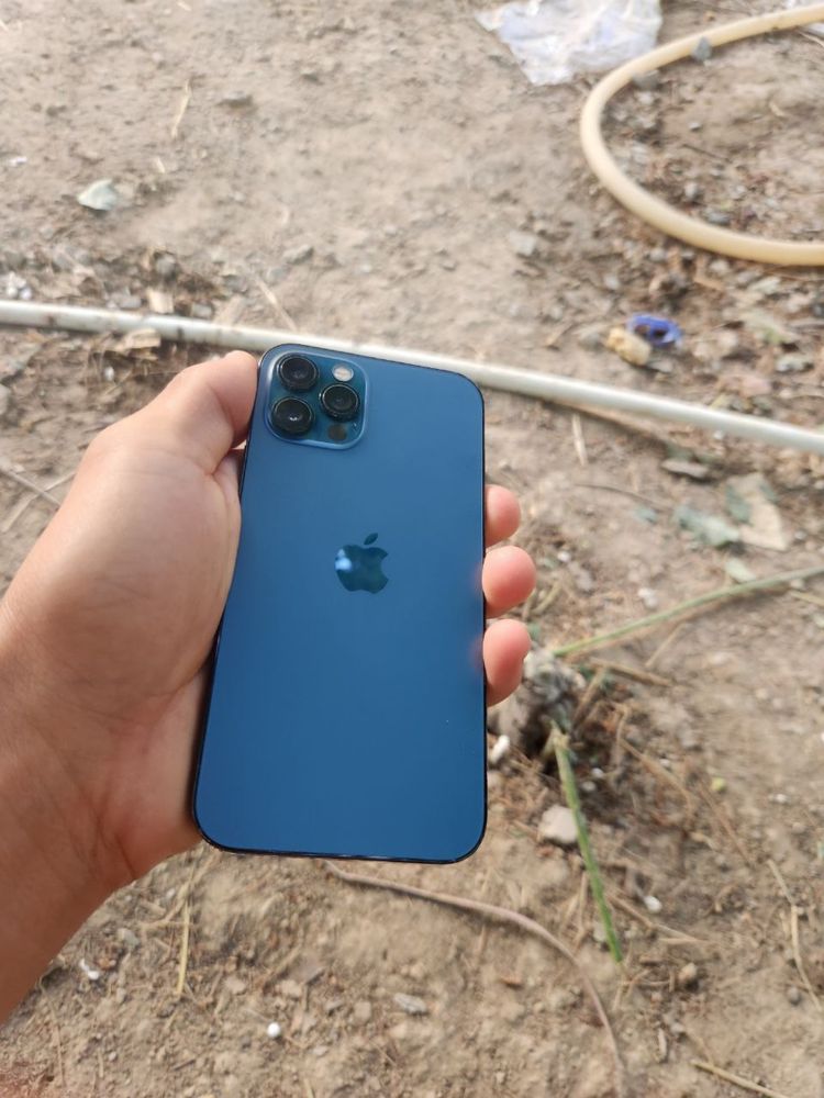 Iphone 12 pro 128/79 edial