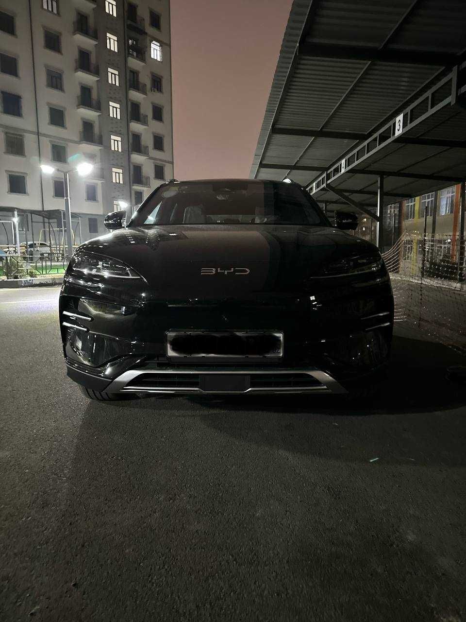 BYD chepion 2025