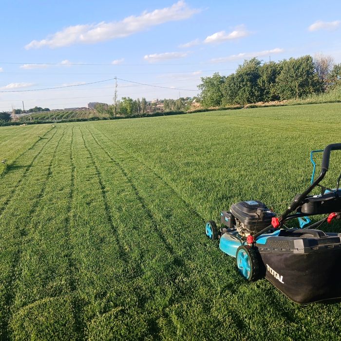 Gazon ekish.  xizmati