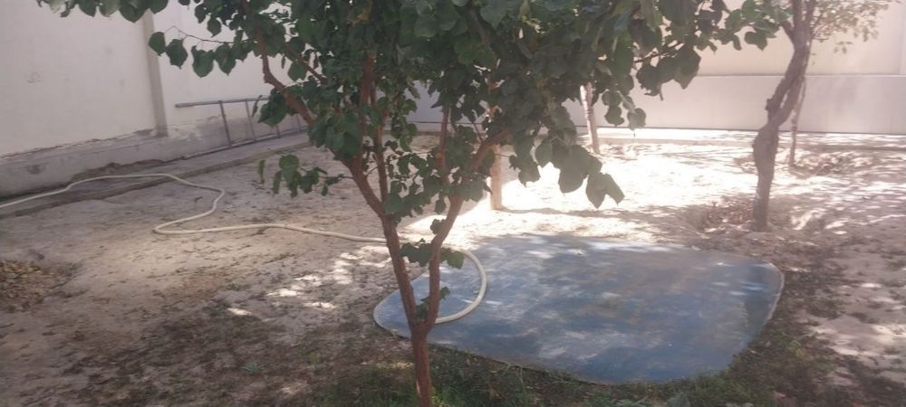 Участка сотилади 2 сотих