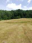Fin de cosit, teren agricol pt cosit,doua hectare, cu 3 lei aria