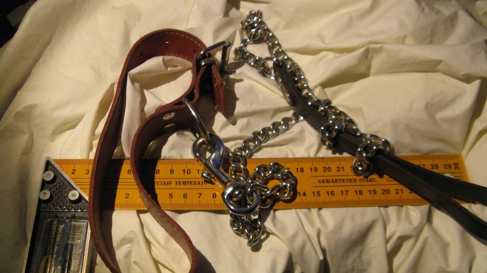 Vand zgarda si lesa caine