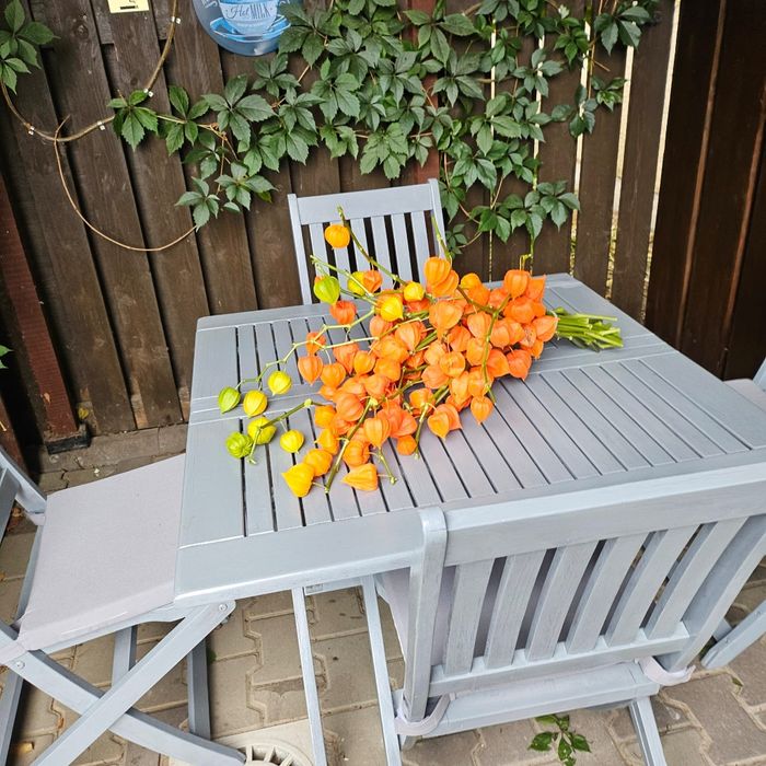 Cazare Casa Cibian Brasov