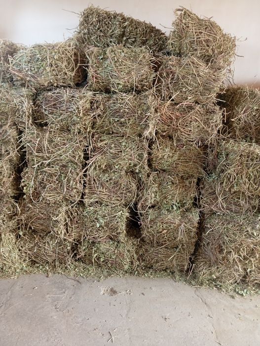 Ери ёнгок сотилади пресс