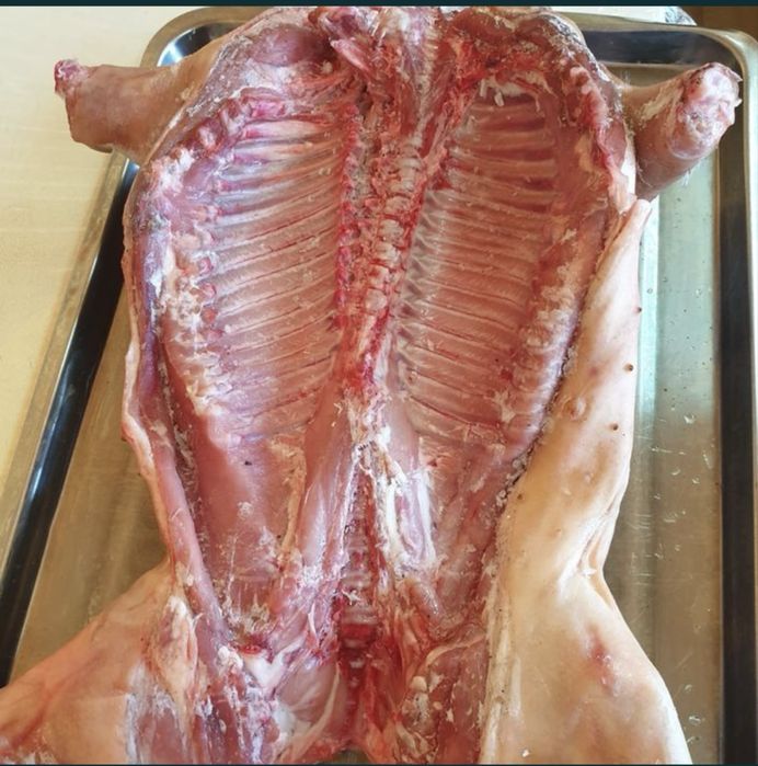 Поросята молочные