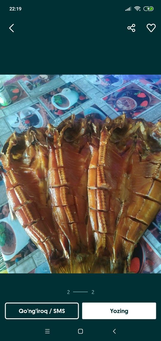 Kapchonniy baligʻ