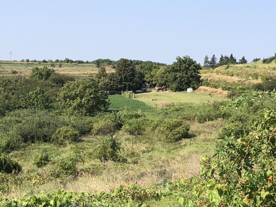 19.000 m2  Sorogari comuna Aroneanu Iasi la 200 m de asfalt