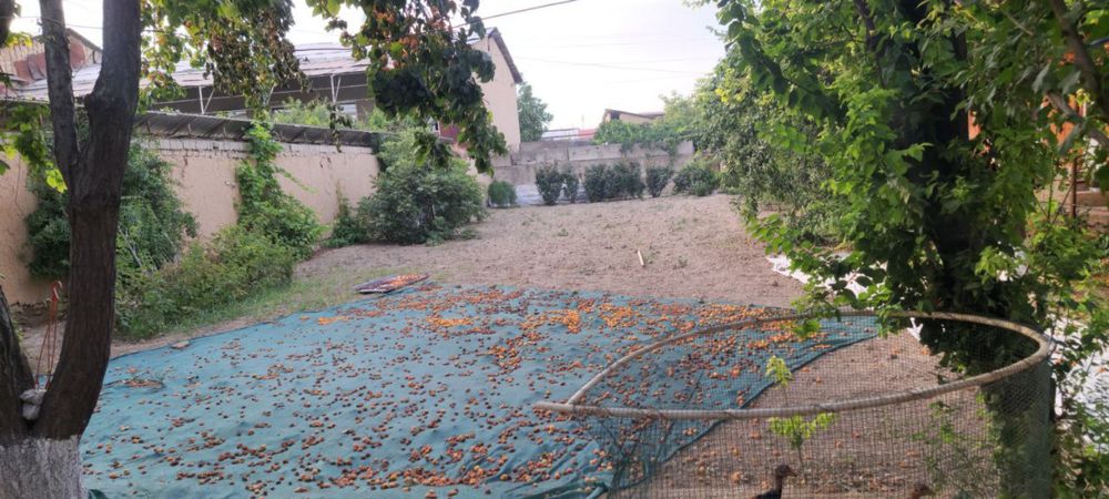 Продам участок на хасанбое, хасанбой пост 1.5 км