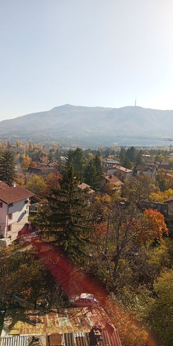 Рязане и кастене на дървета